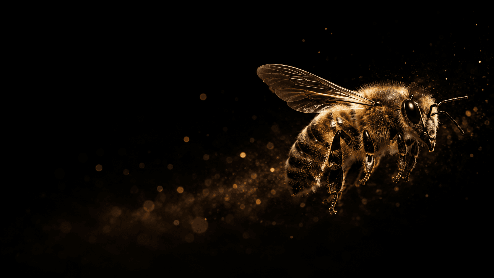 Bee in flight — systems, coordination and execution
